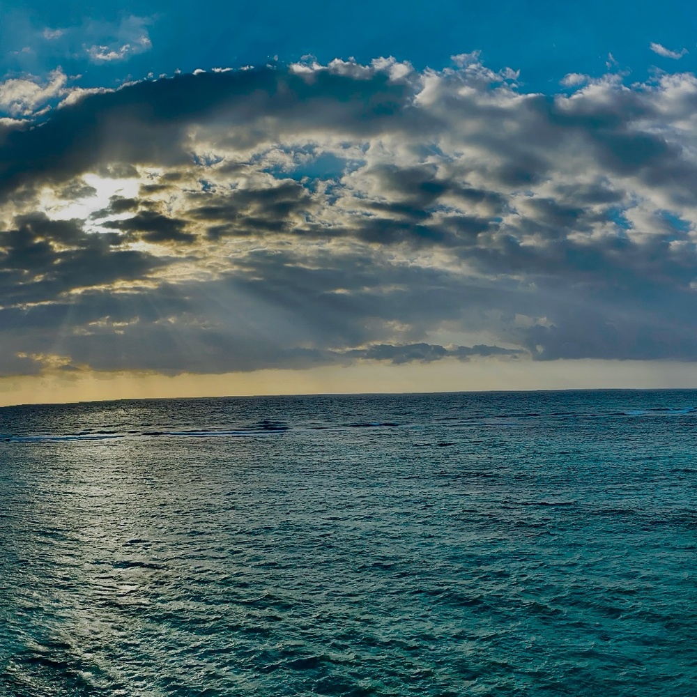 Digital photographs for sale!